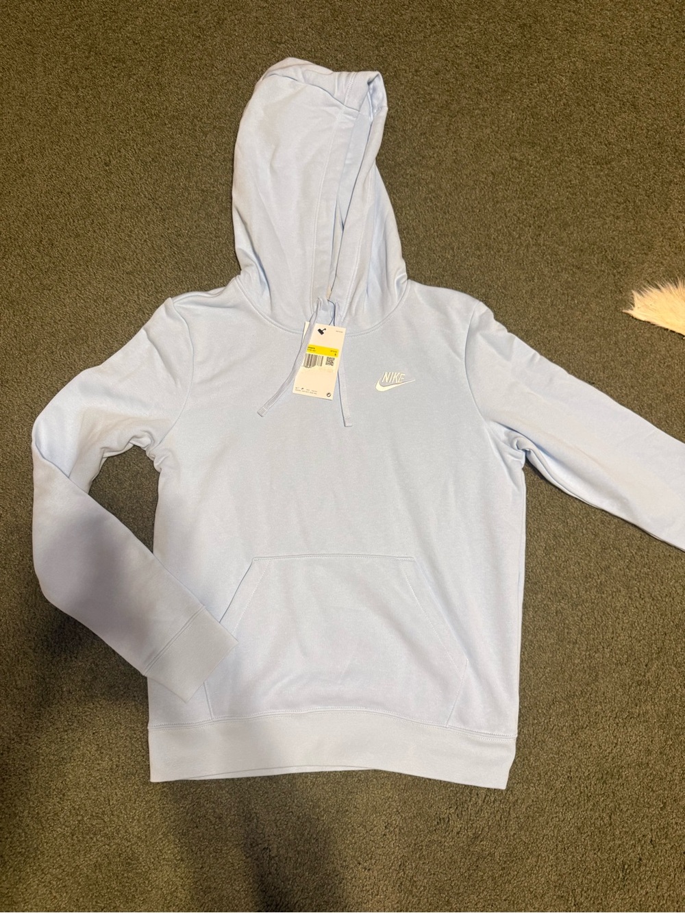 Nike Pastel Blue Hooded Sweatshirt
